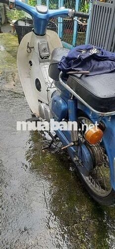 Honda Super Cub 50 Xanh dương, Trắng