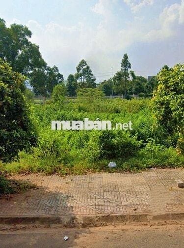 1 Lô đất cho anh chị đầu tư/ xây dựng nhà ở giá tốt trung tâm Hoà Long