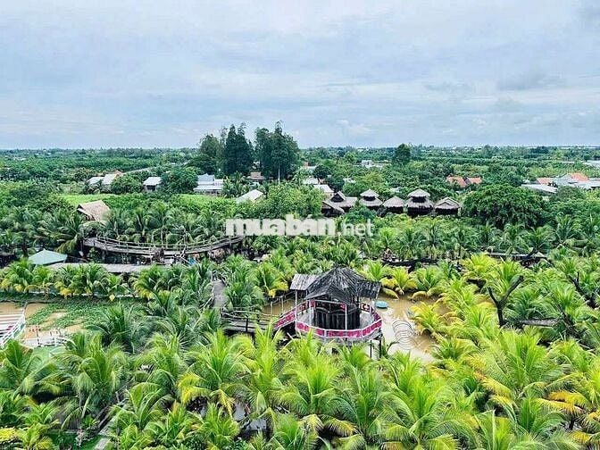 Bán lô đất thổ cư mặt tiền đường nhựa .tphcm