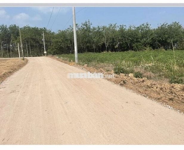 Bán đất vườn giáp hồ Dầu Tiếng