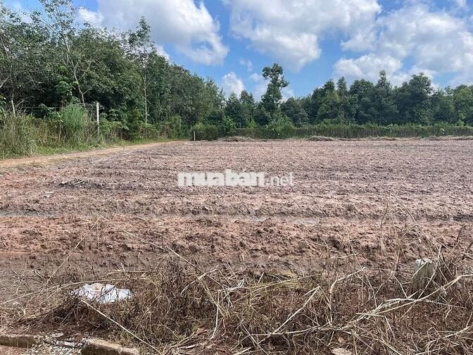 Đất thổ cư lô góc giá đầu tư - Minh Thạnh HCM