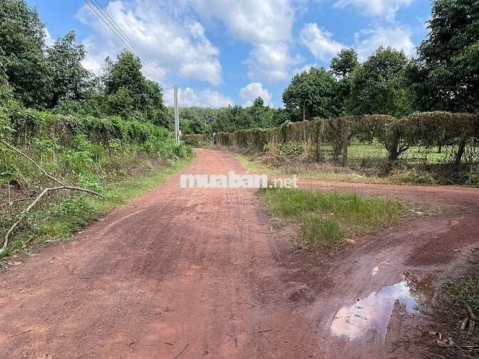 Đất thổ cư lô góc giá đầu tư - Minh Thạnh HCM