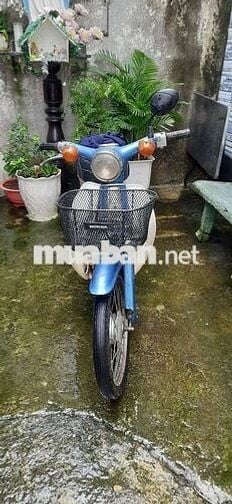 Honda Super Cub 50 Xanh dương, Trắng