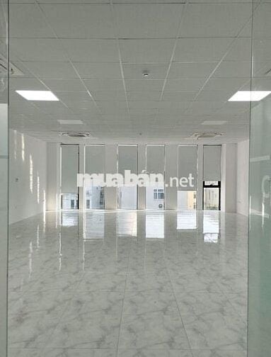 Cho thuê tòa nhà văn phòng Nguyễn Minh Hoàng Tân Bình. 7.5x20m. 6 tầng