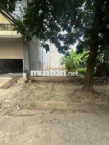 cc bán 65m tdc Bắc Phú Cát. kinh doanh sầm uất. hàng siêu hiếm. đẹp