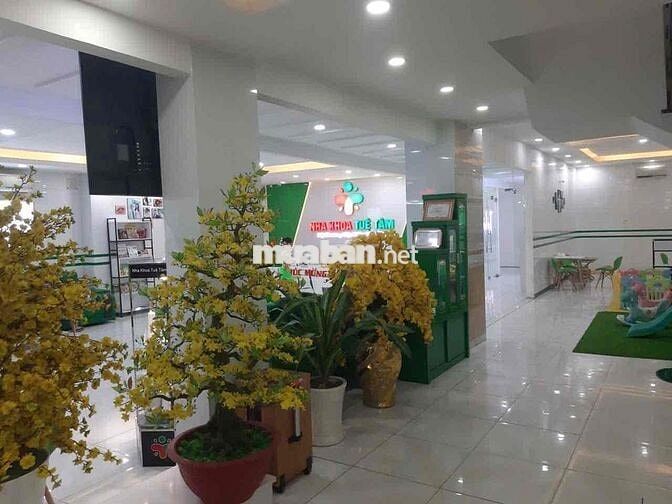 Cho thuê toà nhà Mặt Tiền Lê Văn Quới, Bình Tân