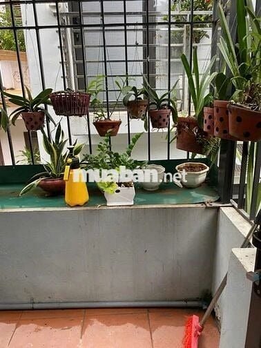 ⚡️Không Còn Căn Thứ 2: LÔ GÓC - 5M RA Ô TÔ🚘 - GIÁ ĐẦU 5 🎯. Bán nhà