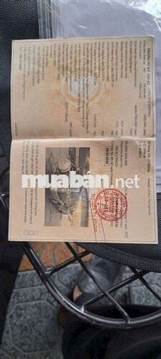 Mitsubishi Jolie 2004 MB 2.0 MPI 2004  - 5 km