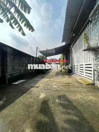 Đất thổ cư xây dựng hoàn công Ok , khu dân cư , không mồ mã :