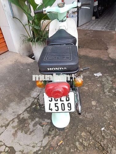 Honda cup 50cc
