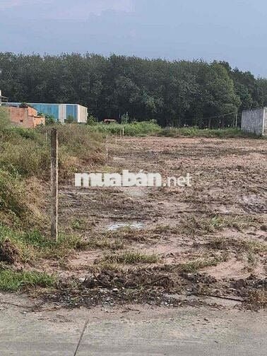 Cần bán gấp lô đất tân vĩnh hiệp tân uyên Bình Dương