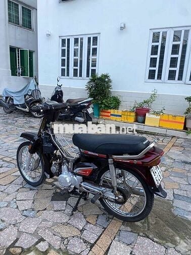 Xe dream Hàn Quốc