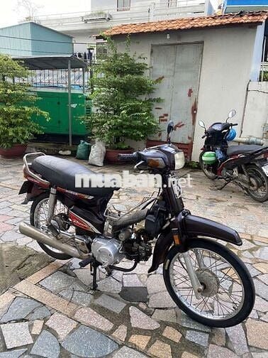 Xe dream Hàn Quốc