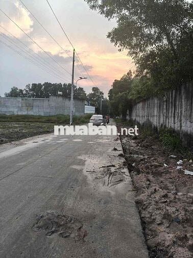 Cần bán gấp lô đất tân vĩnh hiệp tân uyên Bình Dương