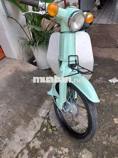 Honda cup 50cc