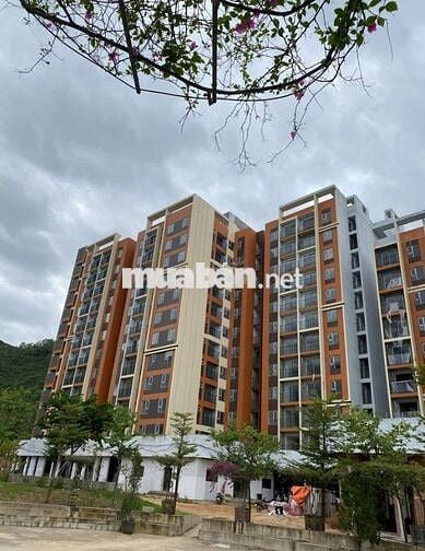 🔥 CĂN GÓC SIÊU HIẾM – TẦNG 9, CĂN 16 – TÒA CTA2, SOLRISE NHƠN PHÚ 🔥