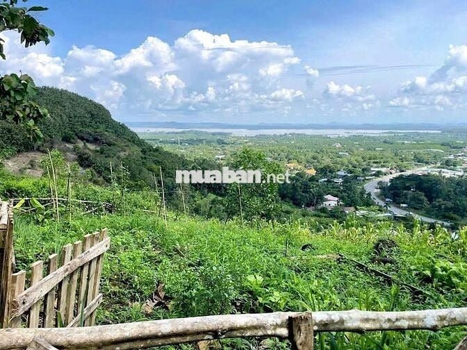 870tr/ 1000m2 VƯỜN XANH GIÁP SUỐI - VIEW HỒ TRỊ AN