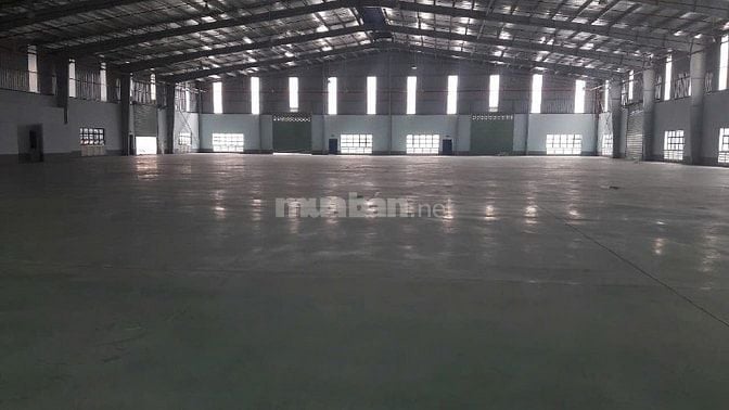 Nhà xưởng cho thuê tân thới nhất quận 12 dt: 5000m giá 300 triêu/tháng