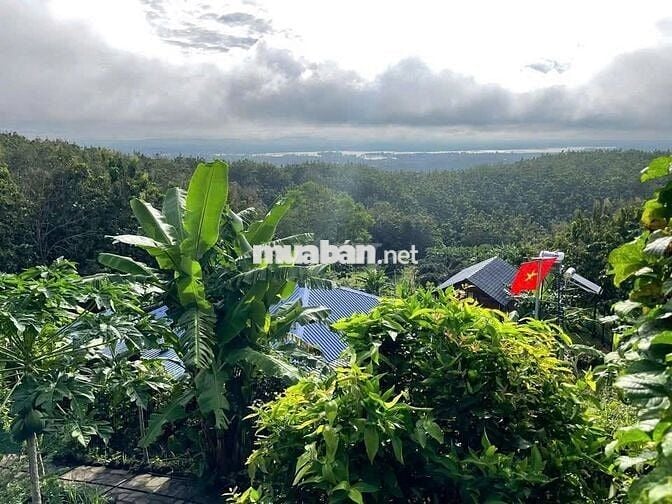 870tr/ 1000m2 VƯỜN XANH GIÁP SUỐI - VIEW HỒ TRỊ AN