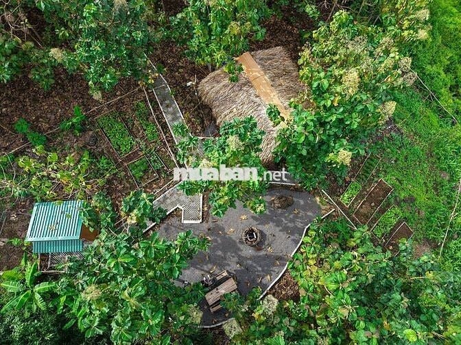 870tr/ 1000m2 VƯỜN XANH GIÁP SUỐI - VIEW HỒ TRỊ AN