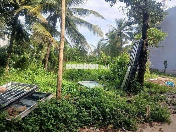 Ban đat thuan an phuong an thanh