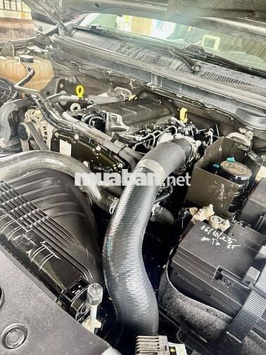 Ford Ranger 2016 số tự động một cầu