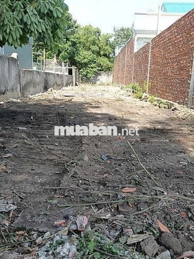 Đất thổ 167m2 sau UBND, cách BV-Trường học-Trạm y tế Mỹ Hạnh Nam 250m