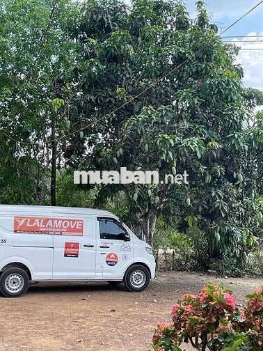 thaco TF450 -2024-lăn bánh 16 ngàn