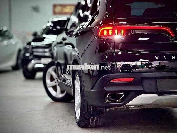 𝐕𝐈𝐍𝐅𝐀𝐒𝐓 𝐋𝐔𝐗 𝐒𝐀 𝐌𝐎𝐃𝐄𝐋 𝟐𝟎𝟐𝟎 𝐒𝐈𝐄̂𝐔 𝐋𝐔̛𝐎̛́𝐓