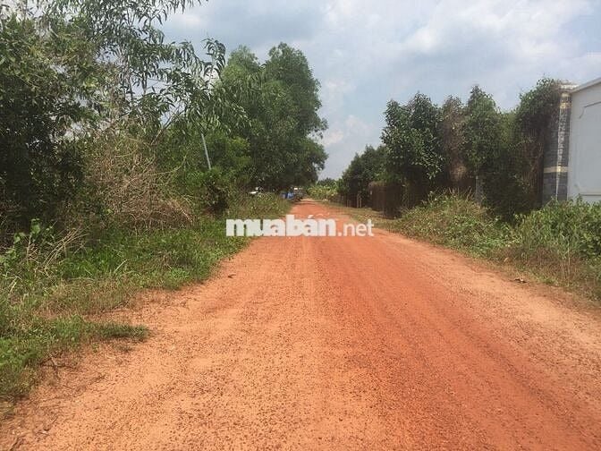 Cần bán thửa đất, Phường Hiệp an, TP HCM