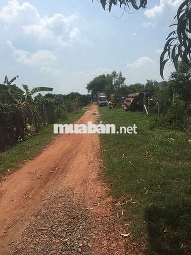 Cần bán thửa đất, Phường Hiệp an, TP HCM