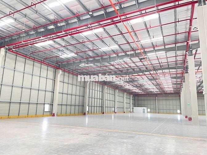 CHO THUÊ KHO XƯỞNG NGOÀI KCN BẾN LỨC 3000M2, PCCC TỰ ĐỘNG, ĐƯỜNG CONT
