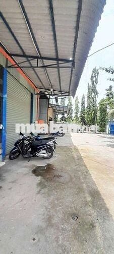 CHO  THUÊ  KHO  XƯỞNG ( 2.000m2) ĐƯỜNG ĐẶNG  THÚC VỊNH.  HÓC  MÔN