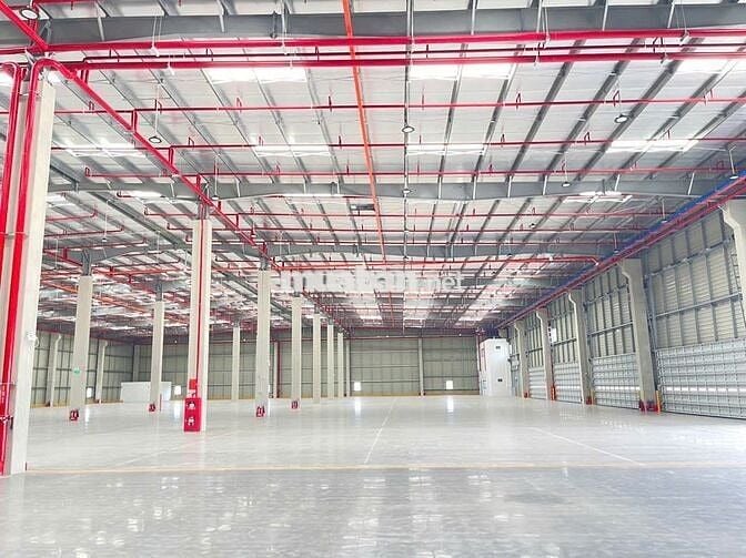 CHO THUÊ KHO XƯỞNG NGOÀI KCN BẾN LỨC 3000M2, PCCC TỰ ĐỘNG, ĐƯỜNG CONT