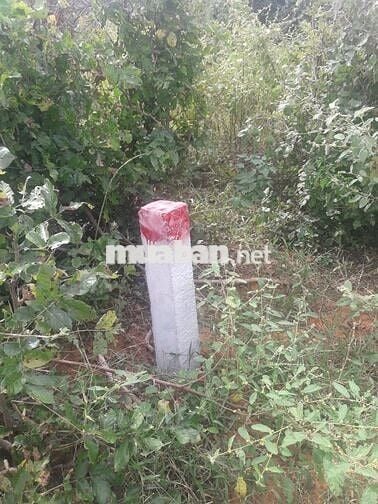 Cần bán gấp lô đất 5087m2 Hồng Thái – Bình Thu