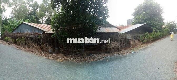 🌿 BÁN TRANG TRẠI VIEW SÔNG – MẶT TIỀN NHỰA ĐẶNG VĂN BÚP