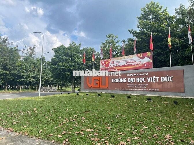 300m2 khu 5C45 Vành Đai 4, giá chỉ 3 tỷ 80 triệu. Sổ hồng sẵn