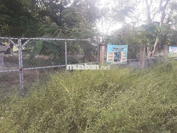 Cần bán gấp lô đất 5087m2 Hồng Thái – Bình Thu