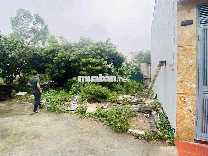 Bán gấp lô đất vàng 56m2 phố Vĩnh Hưng Hà Nội