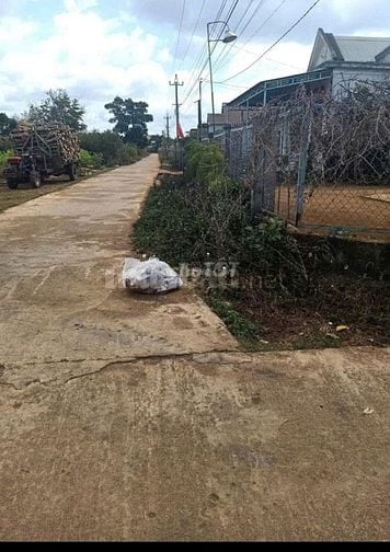 Chủ Cần bán gấp NHÀ VÀ ĐẤT NGAY NGÃ BA BÀU CẠN - GIA LAI