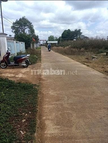 Chủ Cần bán gấp NHÀ VÀ ĐẤT NGAY NGÃ BA BÀU CẠN - GIA LAI