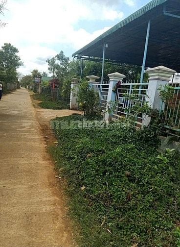 Chủ Cần bán gấp NHÀ VÀ ĐẤT NGAY NGÃ BA BÀU CẠN - GIA LAI