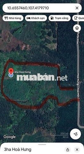 Chủ cần bán gấp đất trồng cây lâu năm. Gần 3ha giá 9 tỷ