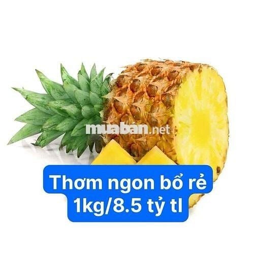 Nhà cấp 4, 5x20, hẻm xe hơi 6m Nguyễn Văn Lượng, xây 6 tầng, 8.5 tỷ