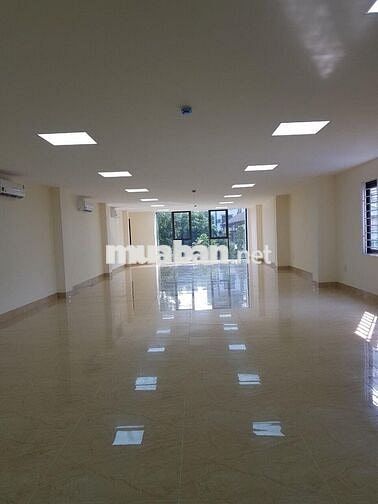 Cho thuê tòa nhà Lũy Bán Bích Tân Phú 8x18m hầm 6 tầng giá rẻ khu vực