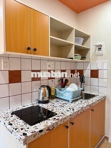 Cho thuê căn hộ gần cầu Nguyễn Tri Phương_BV Chợ Rẫy_ĐH Kinh tế_FUl nt