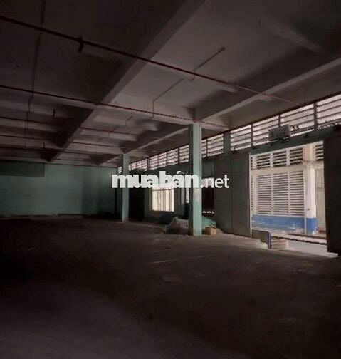 Thuê kho xưởng quận 7 DT 680m xe cont tận cửa, không cấm giờ.