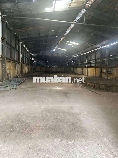 Cho thuê kho xưởng An Phú đông quận 12