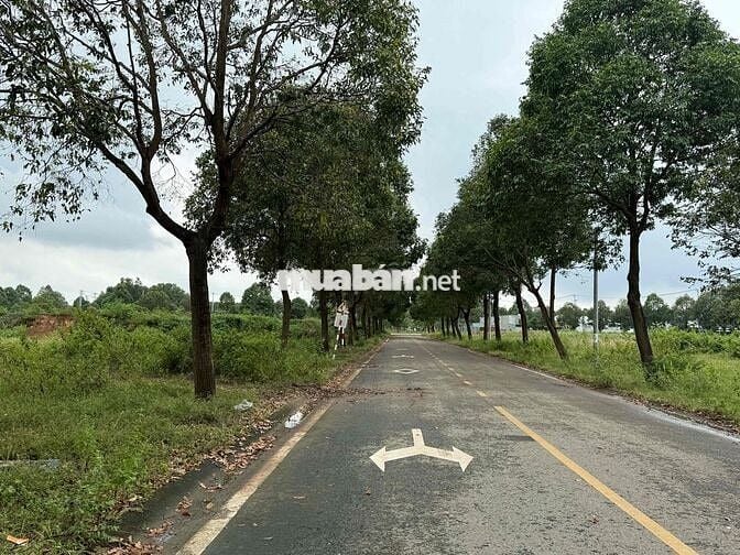 Bán đất TDC Phú Chánh chỉ hơn 2,7 tỷ sổ sẵn, đối diện quỹ đất chung cư