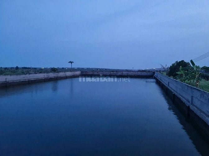 Đất 8ha8 gần biển Nova Phan Thiết, đường lớn, qui hoạch TMDV, giá rẻ, 